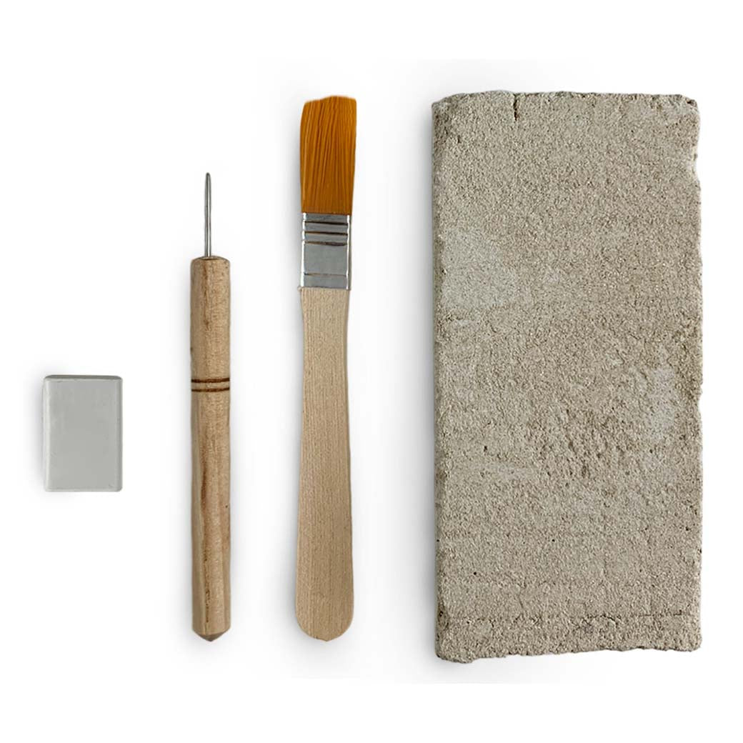 KIT FOSIL POR DESCUBRIR