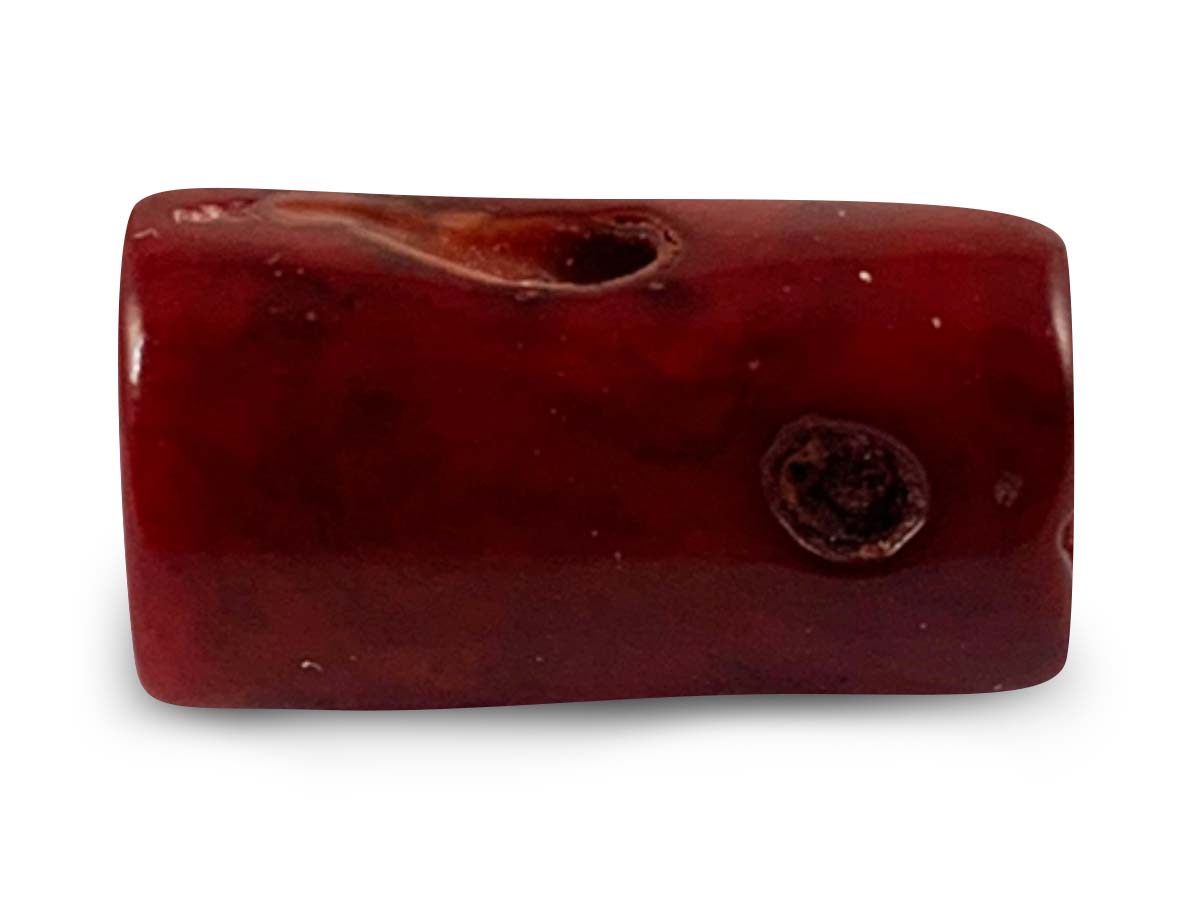 COSTALITO DEL ZODIACO MAYA "LAGARTO" CORAL ROJO.