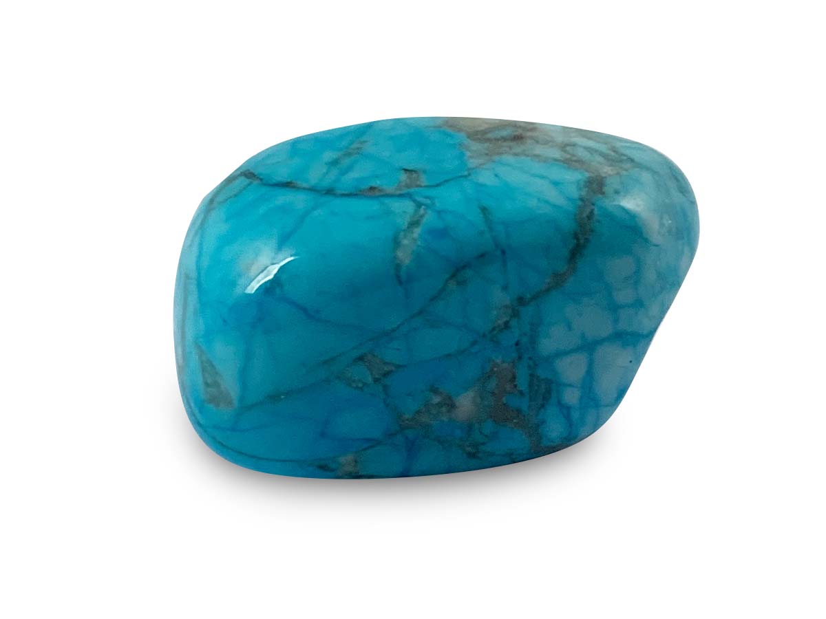 COSTALITO DEL ZODIACO MAYA "ZORRO" HOWLITA.