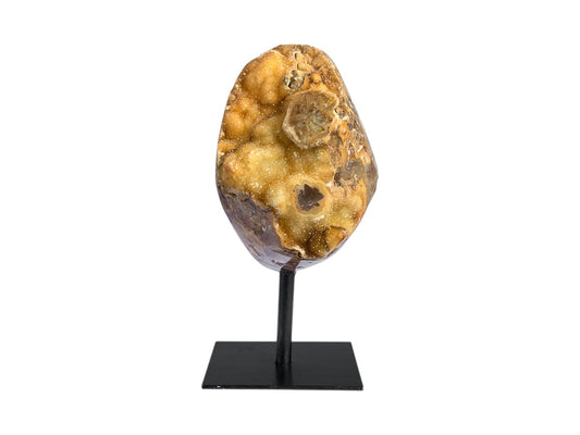 GEODA ÁGATA CON DRUSA