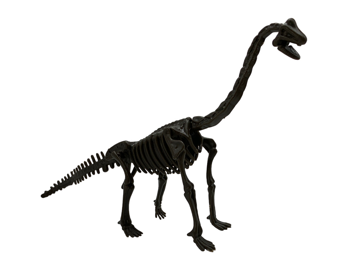 ESQUELETO ARMABLE BRAQUIOSAURIO