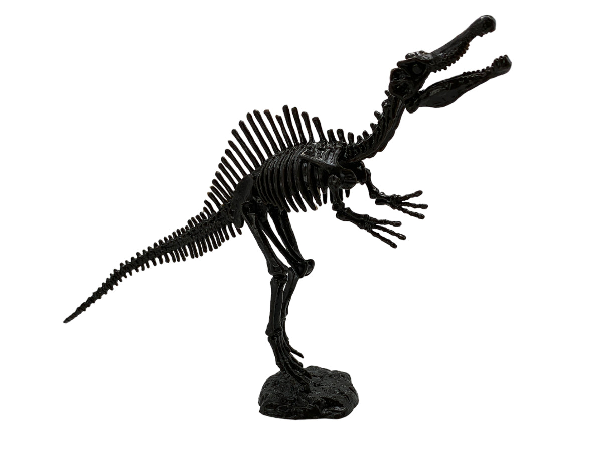 ESQUELETO ARMABLE ESPINOSAURIO
