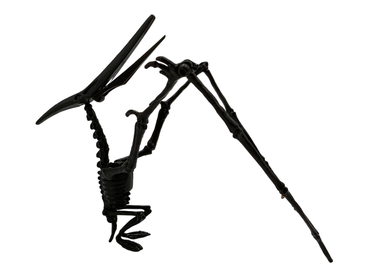 ESQUELETO ARMABLE PTEROSAURIO