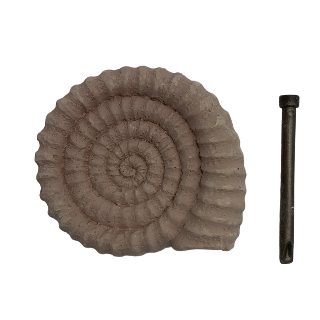 KIT EXCAVACIÓN AMONITE