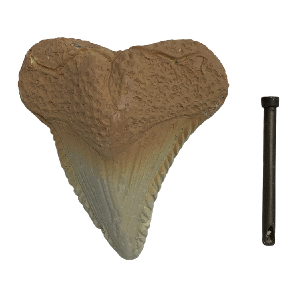 KIT EXCAVACIÓN DIENTE DE TIBURÓN