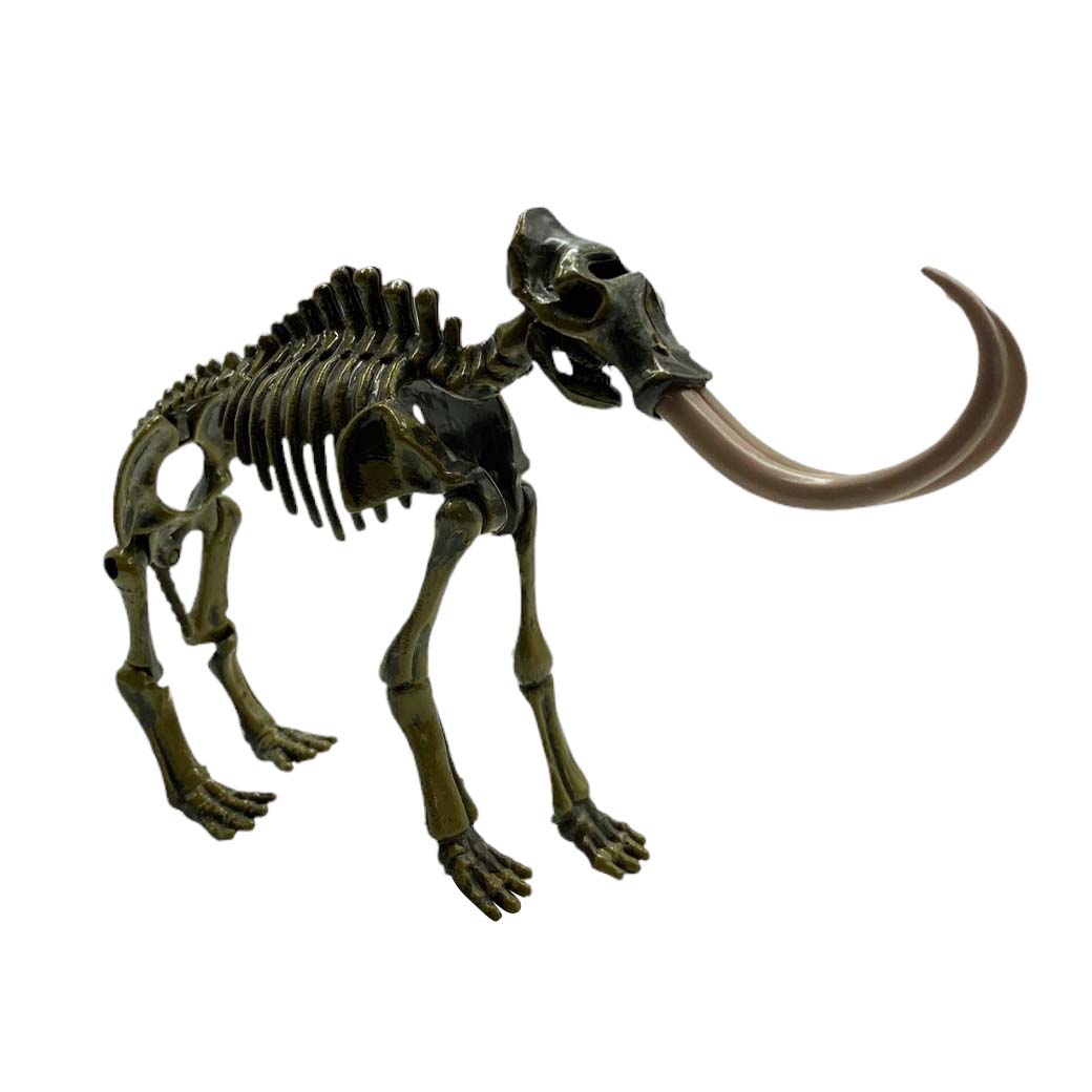 ESQUELETO ARMABLE MAMUT