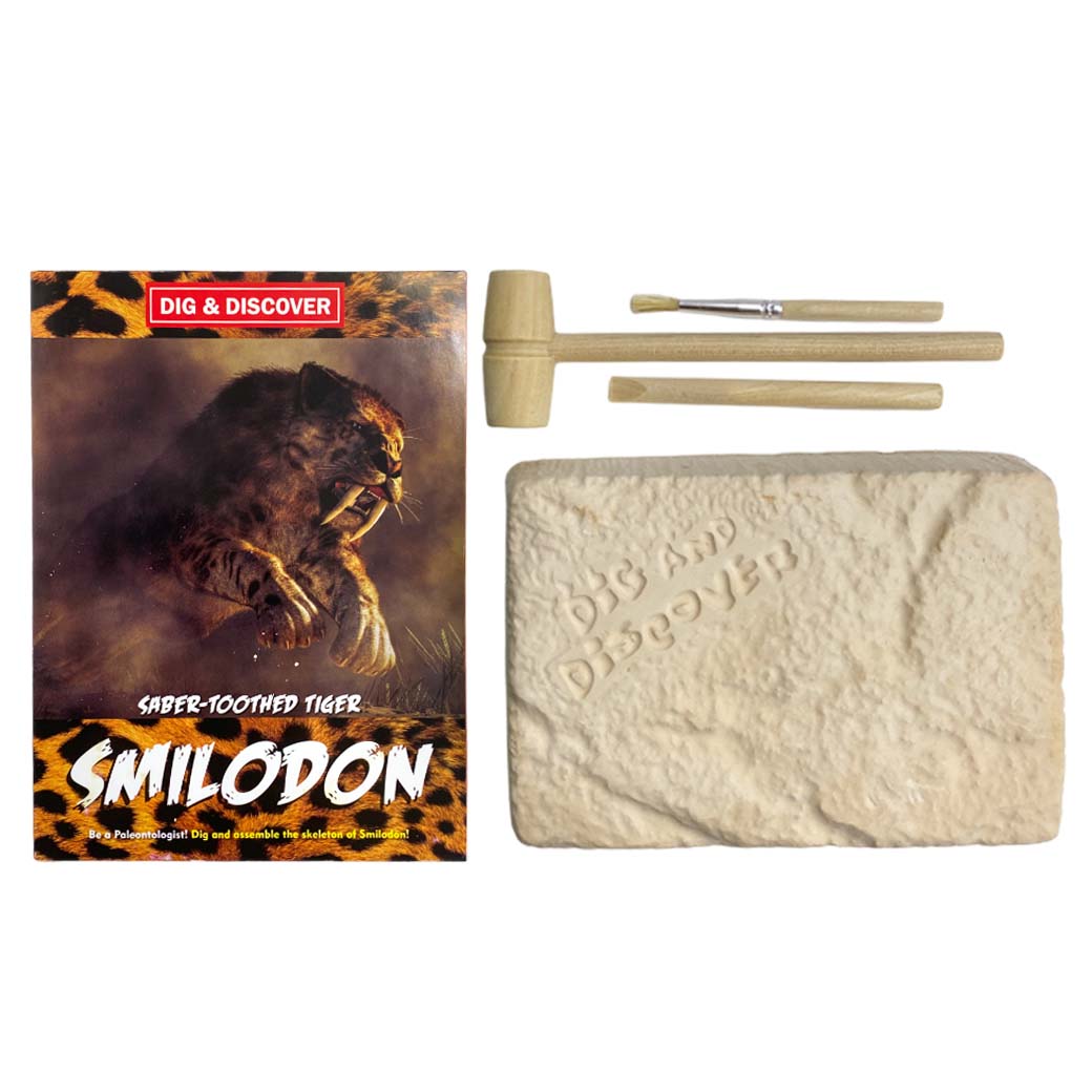 KIT EXCAVACIÓN ESQUELETO SMILODON .