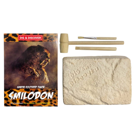 KIT EXCAVACIÓN ESQUELETO TIGRE DIENTES DE SABLE