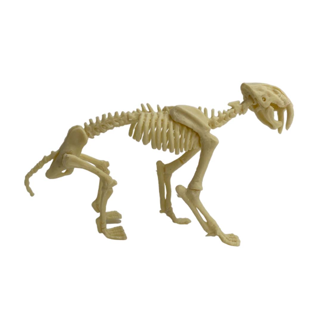 KIT EXCAVACIÓN ESQUELETO SMILODON .