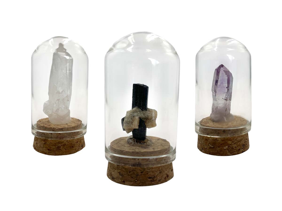 ESPECIMENES DIVERSOS