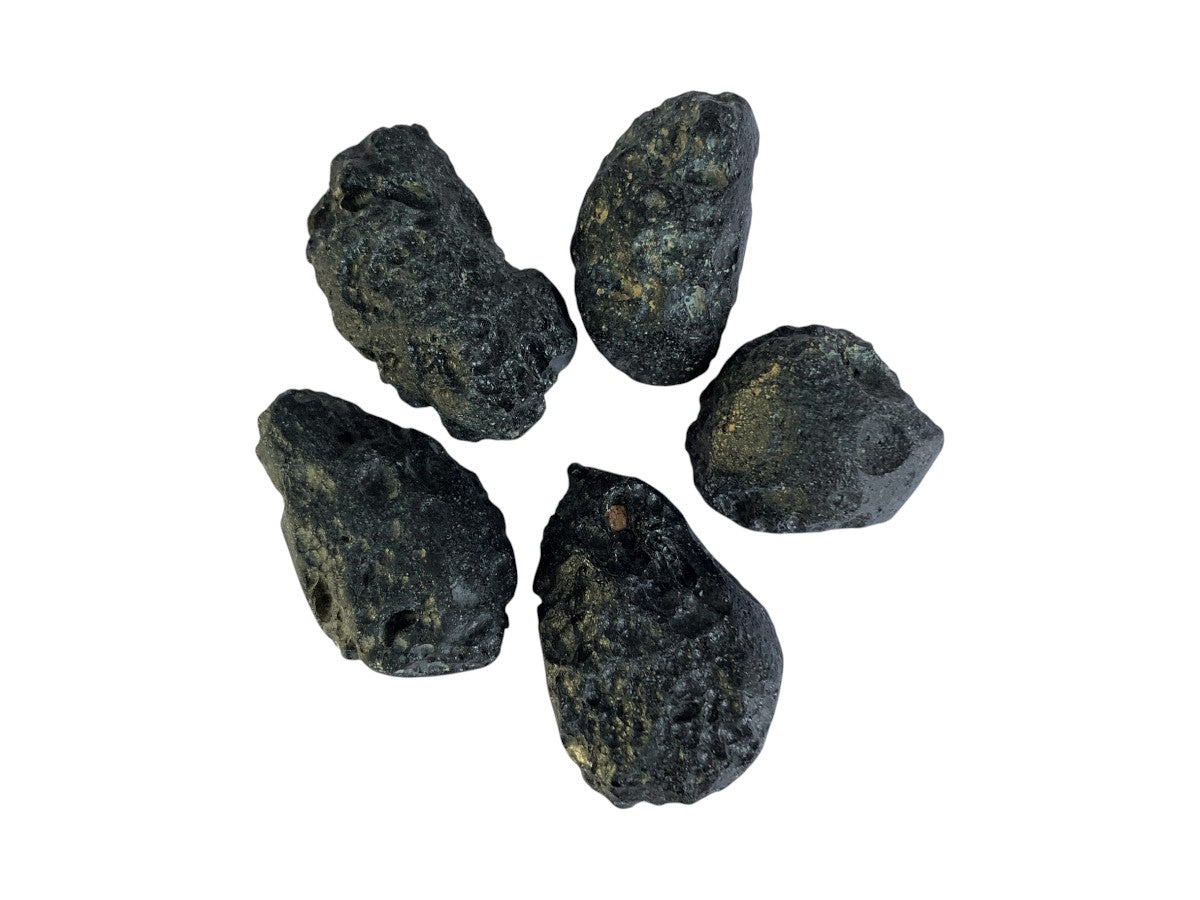 PAQUETE DE 5 ESPECIMENES DE TECTITA