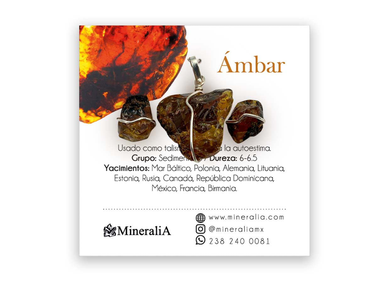 SET DIJE/ ARETES ÁMBAR.