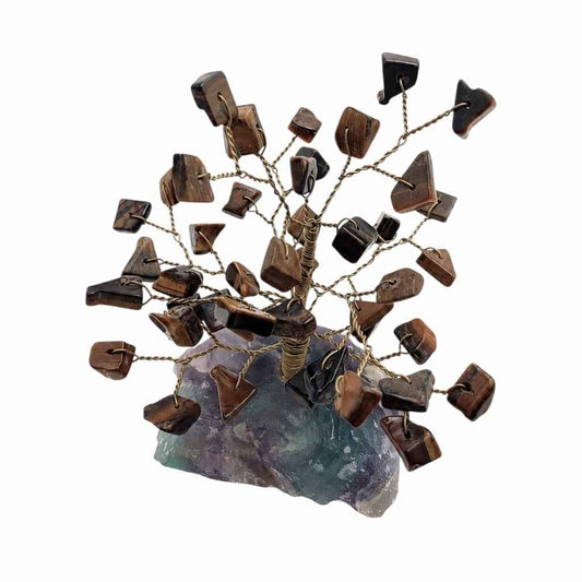 ÁRBOL DE OJO DE TIGRE