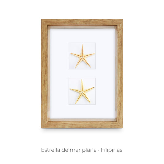 CUADRO ESTRELLAS DE MAR.
