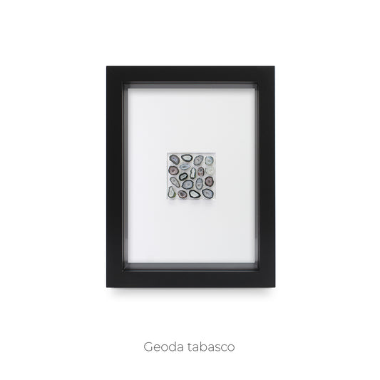 CUADRO CON MINI GEODAS TABASCO.