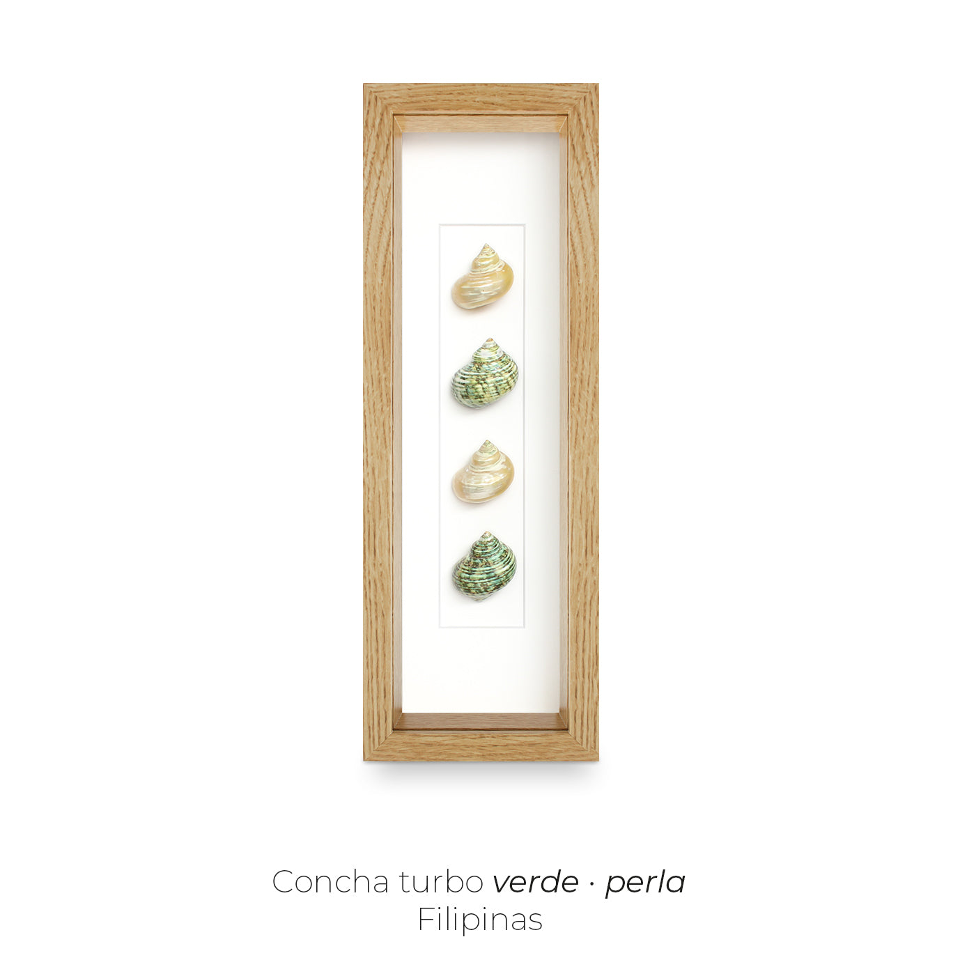 CUADRO CON 4 CARACOLAS.