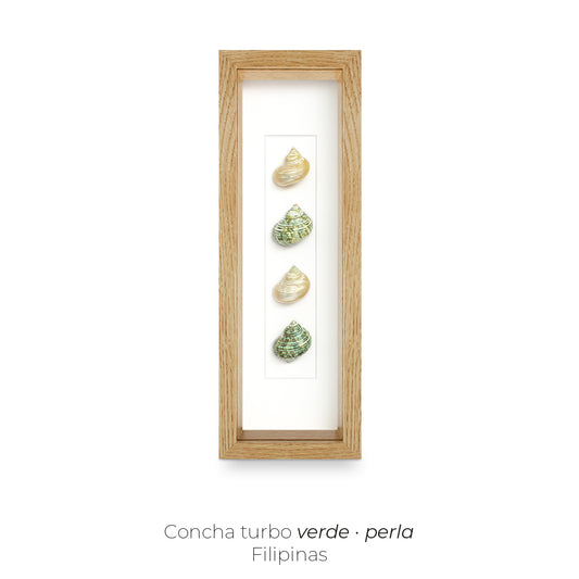 CUADRO CON 4 CARACOLAS.