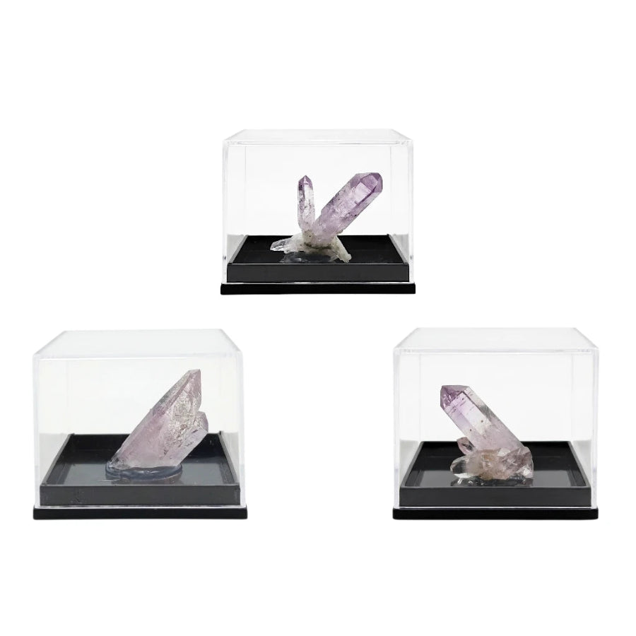 ESPÉCIMEN AMATISTA DE VERACRUZ