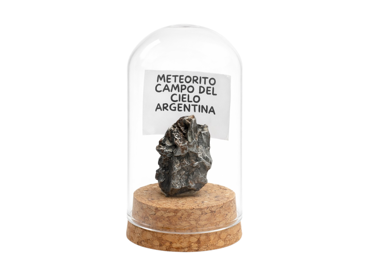 Espécimen de Meteorito - espécimen natural
