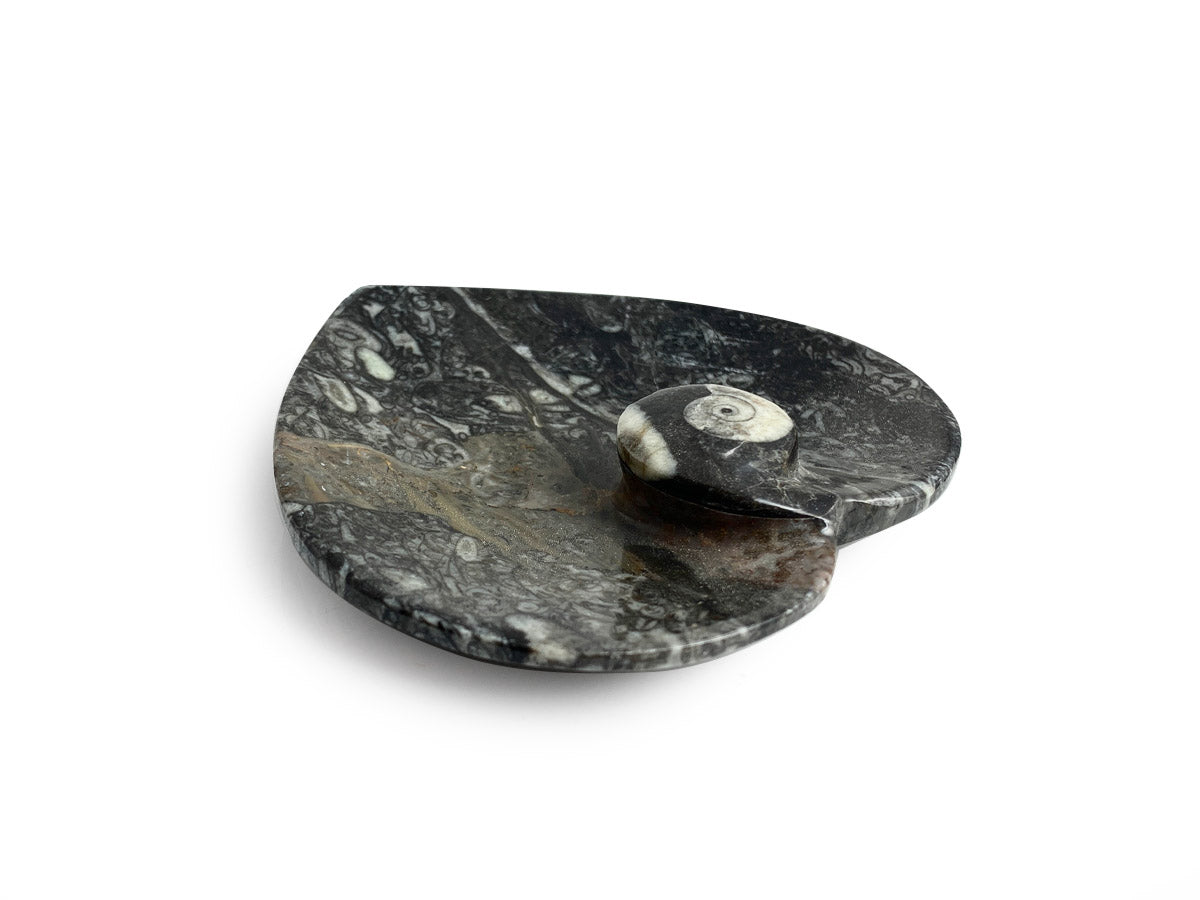 BOWL DE ORTHOCERA FÓSIL CORAZÓN.