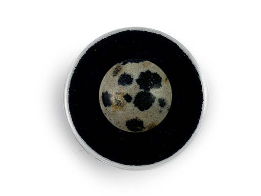 CABUJÓN DE JASPE DÁLMATA.