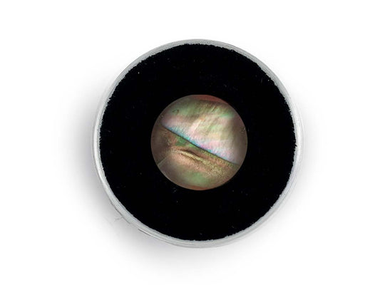 CABUJÓN DE CONCHA MARINA.