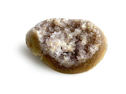 DRUSA AMATISTA URUGUAY CHICA.