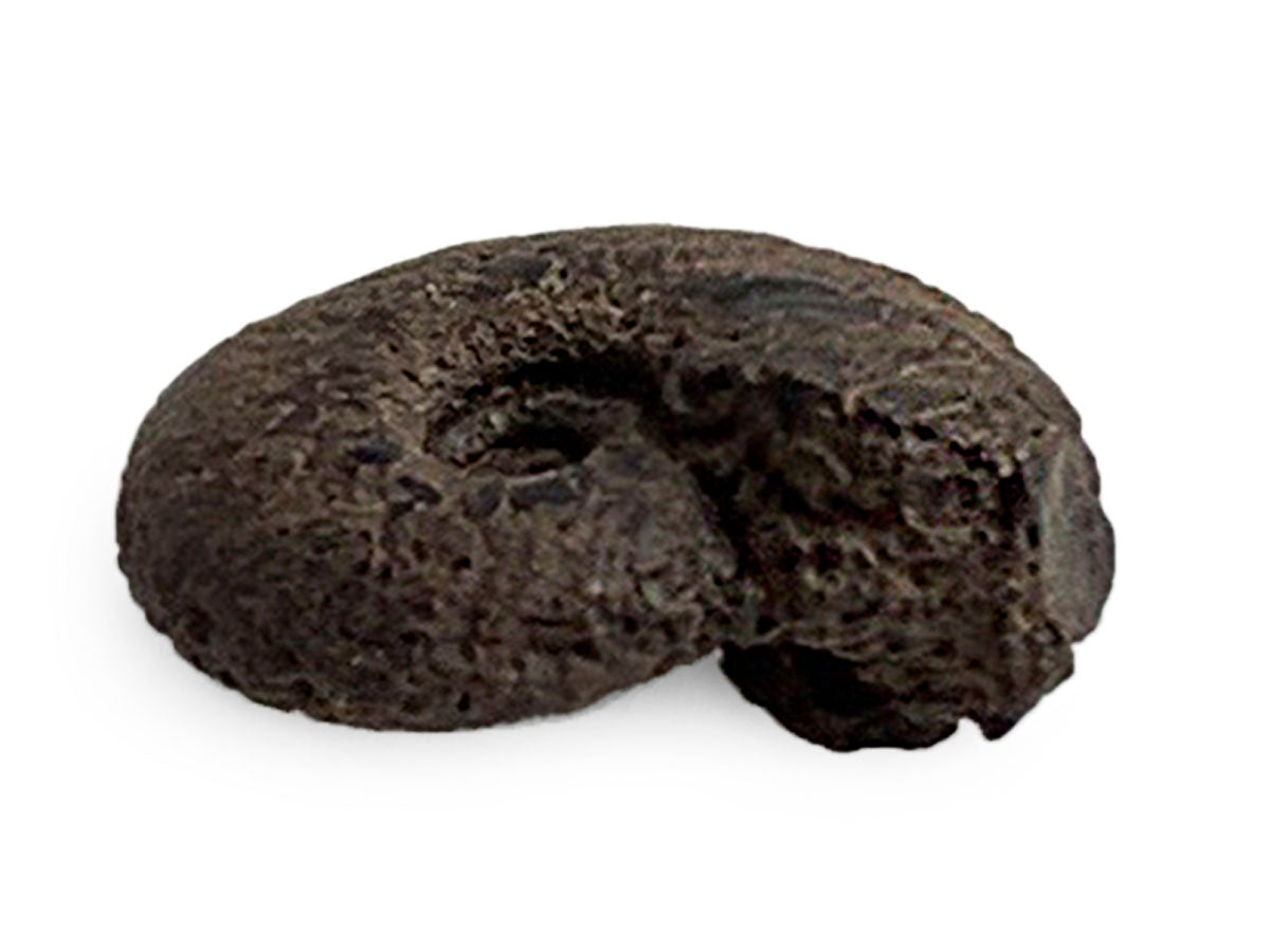 AMONITE FÓSIL RÚSTICO MINI