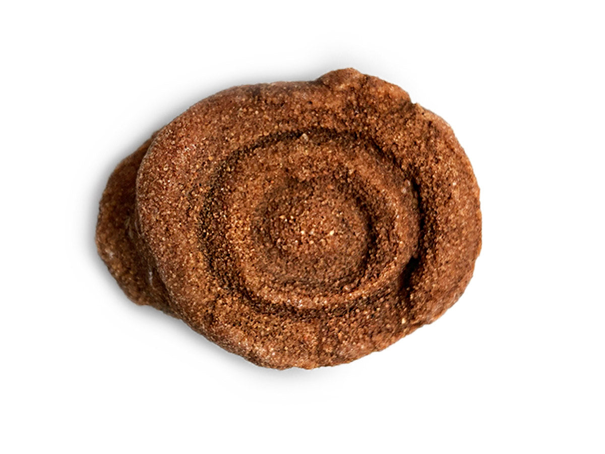 STROMATOLITE FÓSIL RÚSTICO