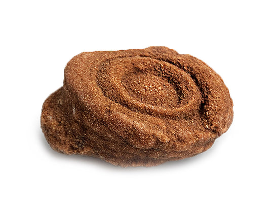 STROMATOLITE FÓSIL RÚSTICO