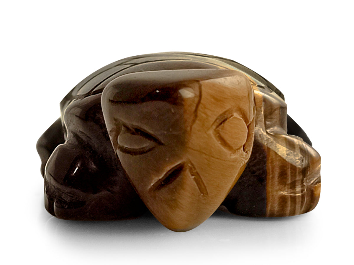 TORTUGA DE OJO DE TIGRE.