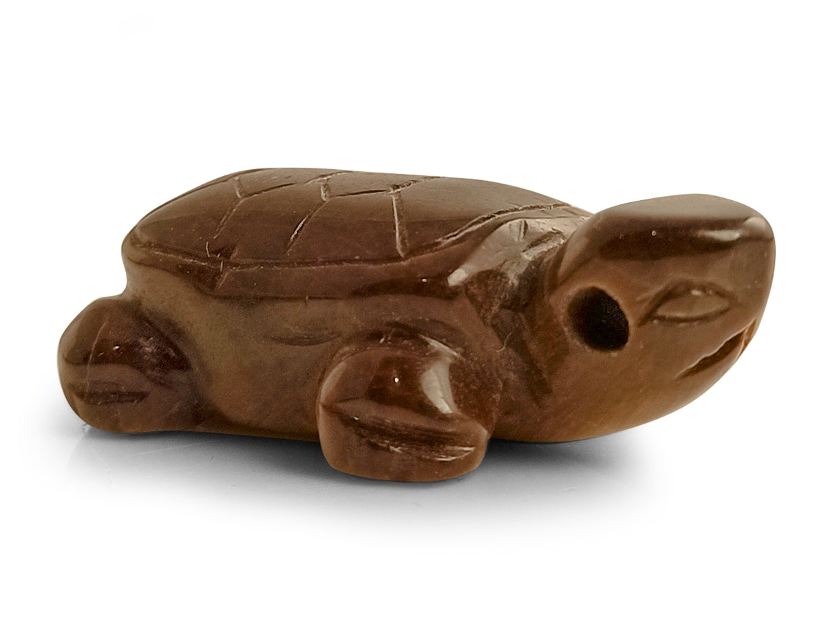 TORTUGA DE OJO DE TIGRE.