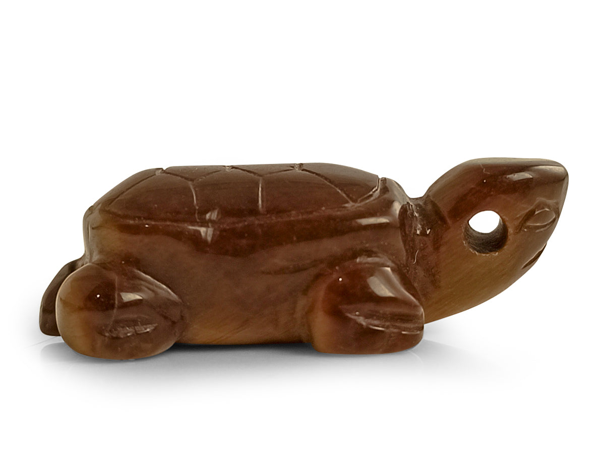 TORTUGA DE OJO DE TIGRE.