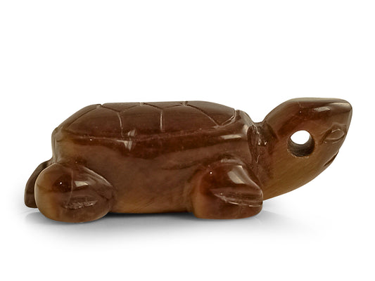 TORTUGA DE OJO DE TIGRE.