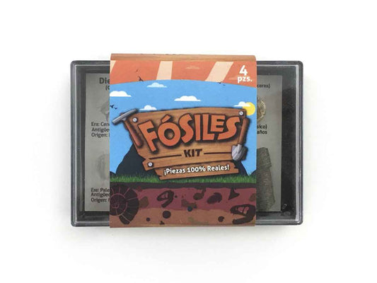 KIT COLECCIONABLE DE 4 FÓSILES