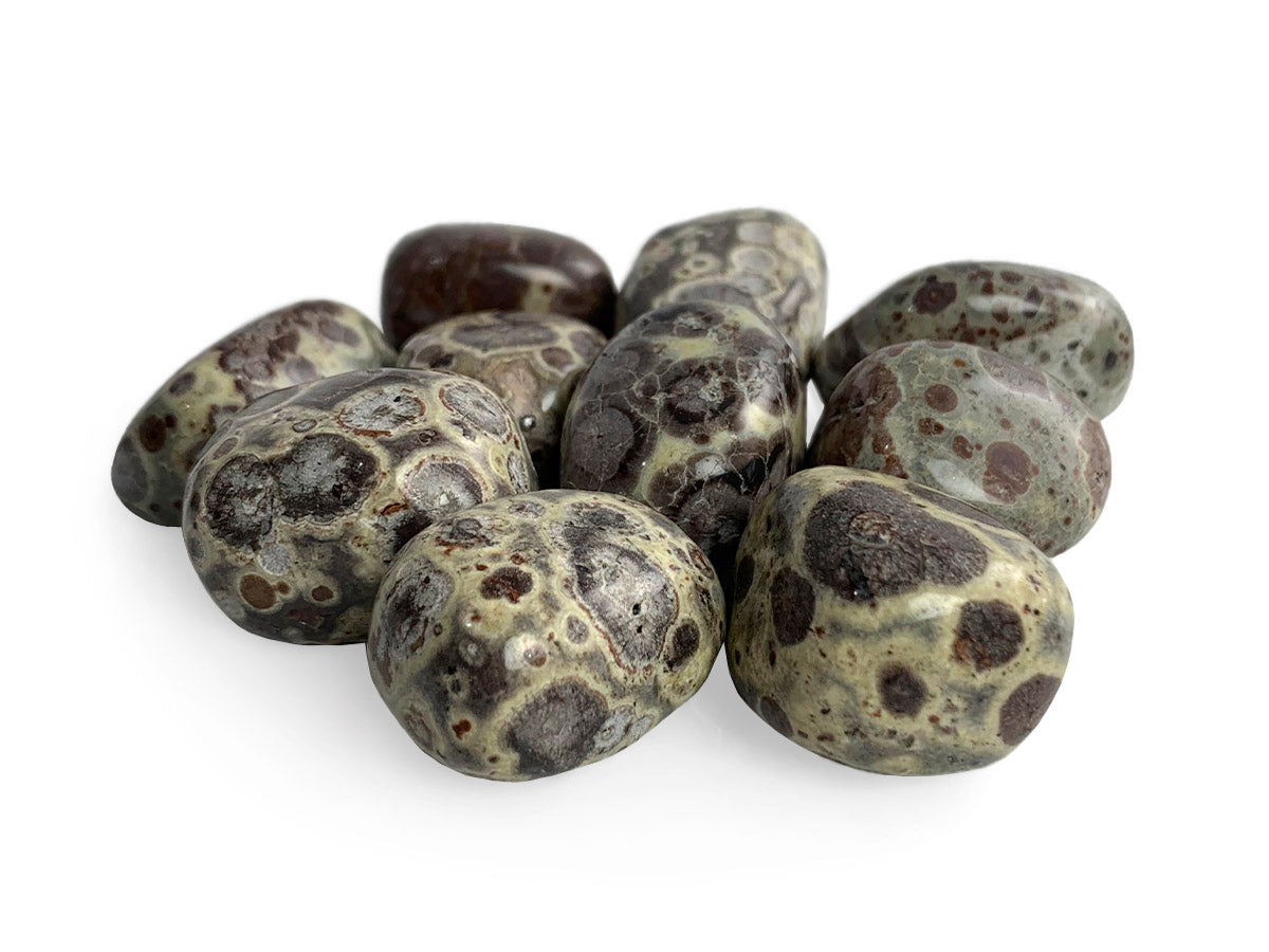 PAQUETE DE 10 PIEZAS DE TAMBORILEADO JASPE PIEL DE VIBORA.