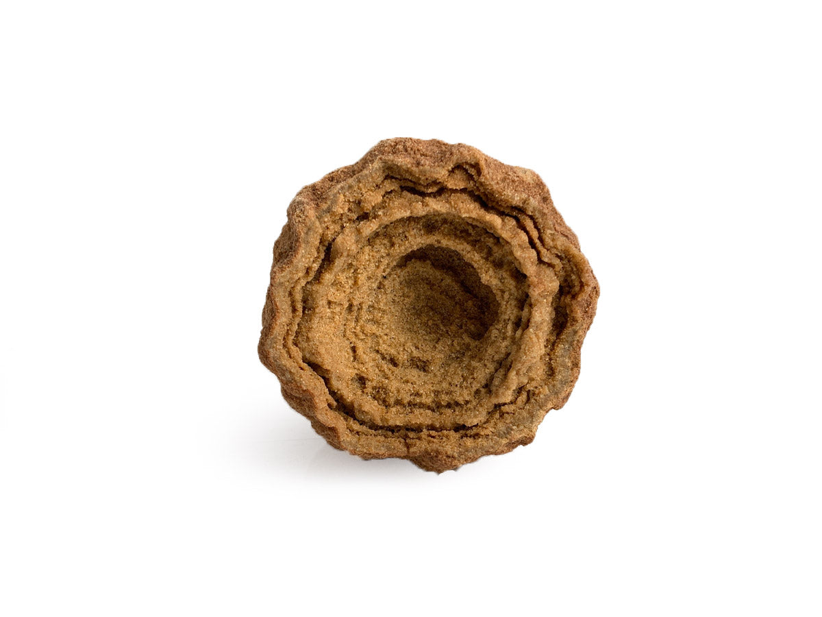 STROMATOLITE FÓSIL RÚSTICO