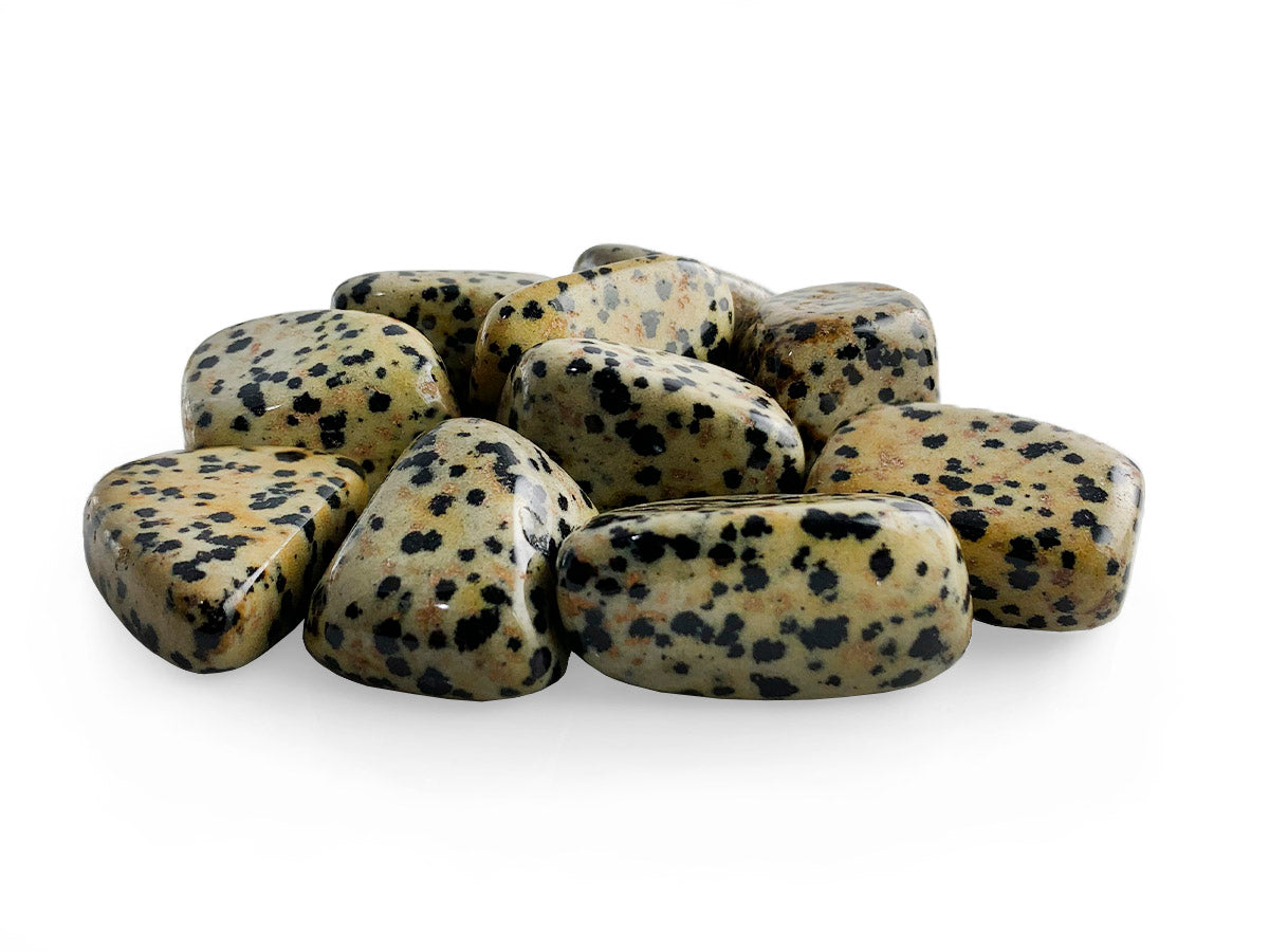 PAQUETE DE 10 PIEZAS DE TAMBORILEADO JASPE DALMATA.