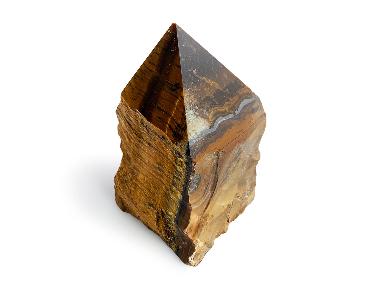 PUNTA DE OJO DE TIGRE GRANDE.