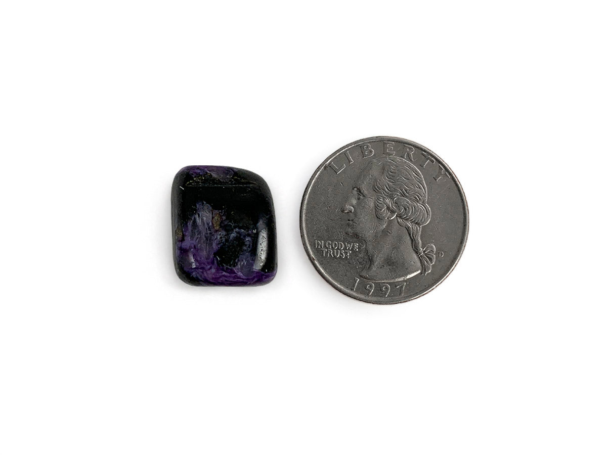 PAQUETE DE 5 PIEZAS DE TAMBORILEADO CHAROITA