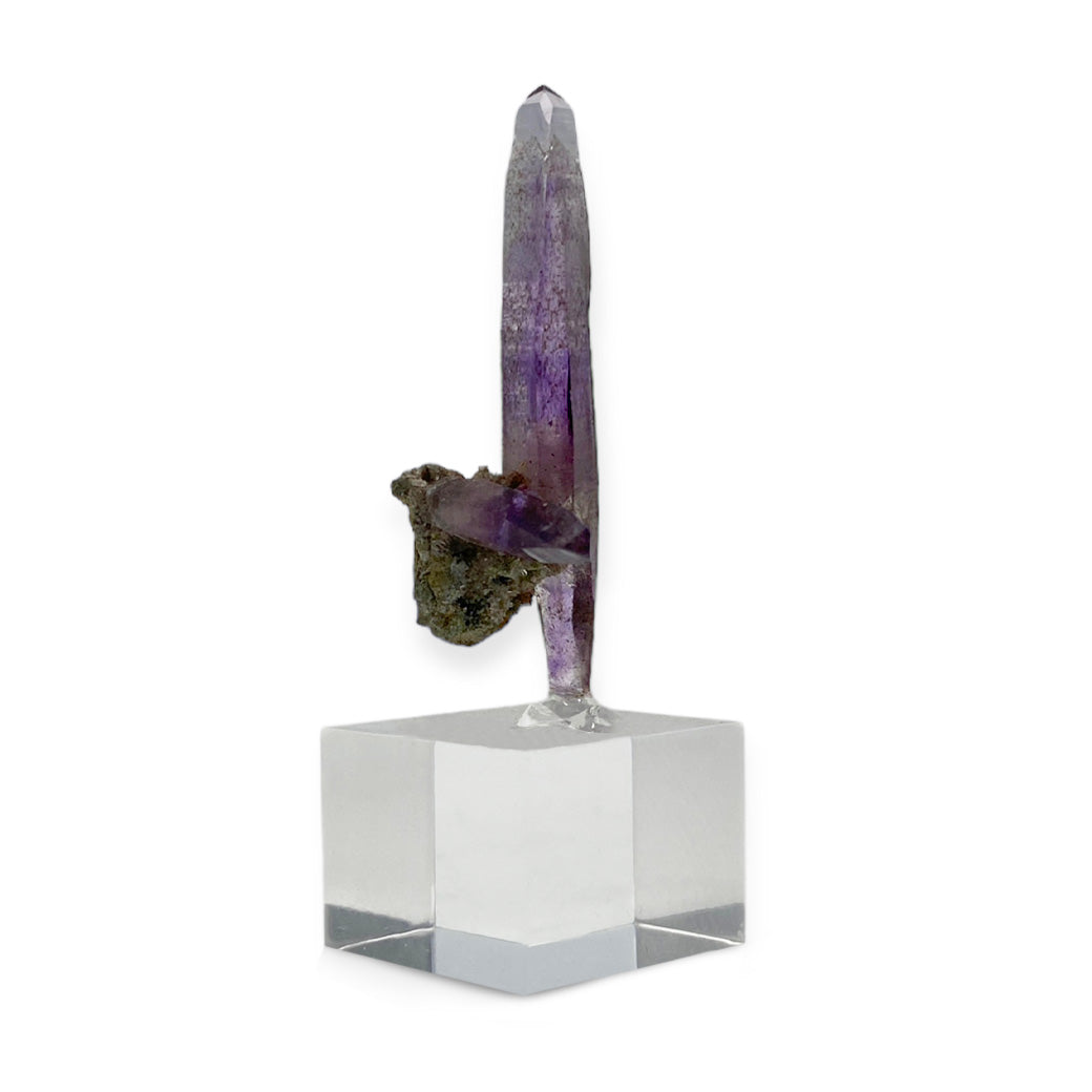 ESPÉCIMEN DE AMATISTA VERACRUZ