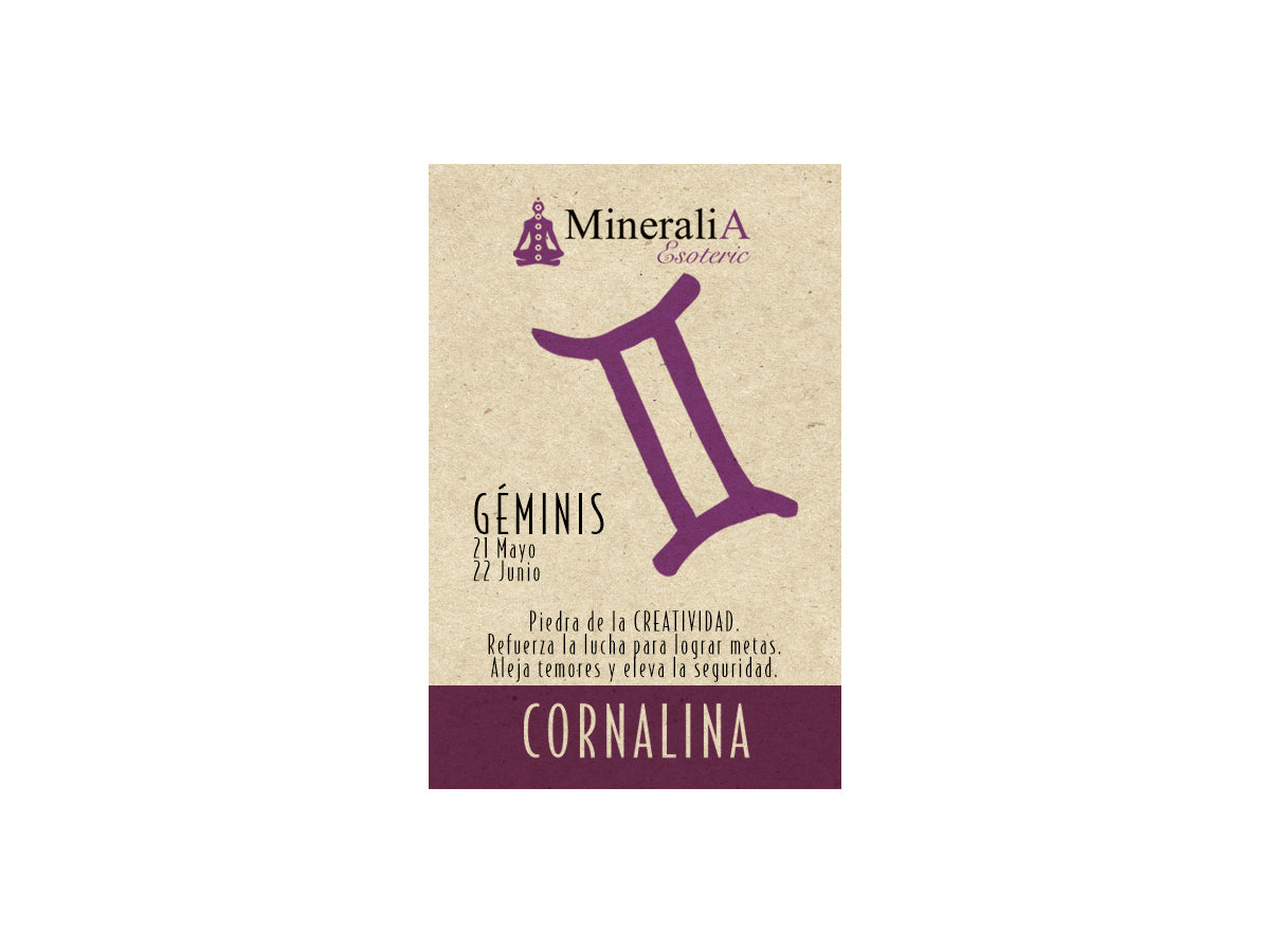 COSTALITO CON PIEDRA DEL ZODIACO "GÉMINIS" CORNALINA.