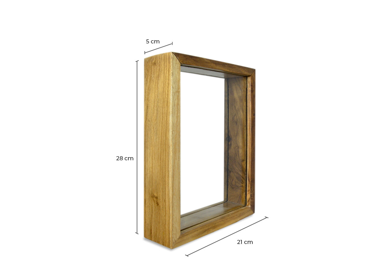 CUADRO CON 1 CARACOLA DECATOPECTEN.