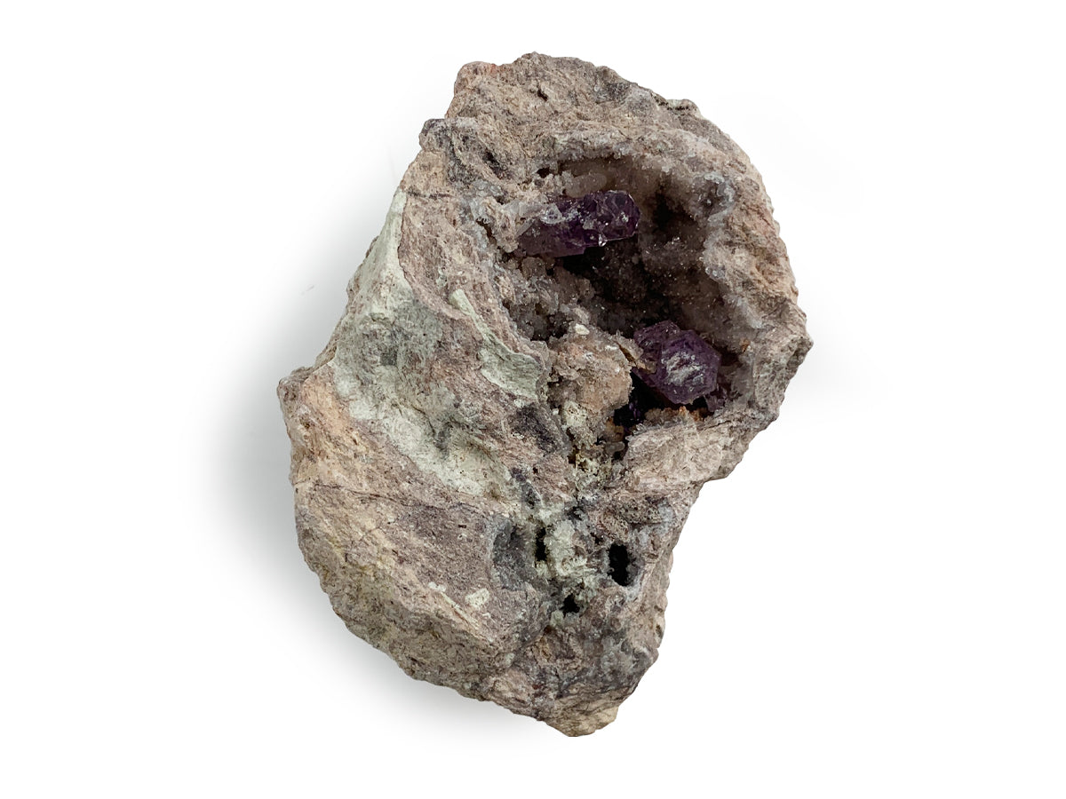 GEODA CON DRUSA AMATISTA.