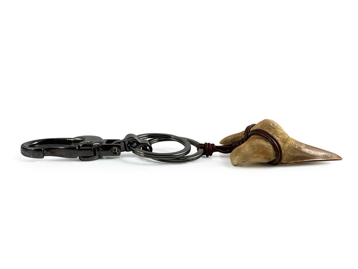 LLAVERO DIENTE DE TIBURÓN FÓSIL.