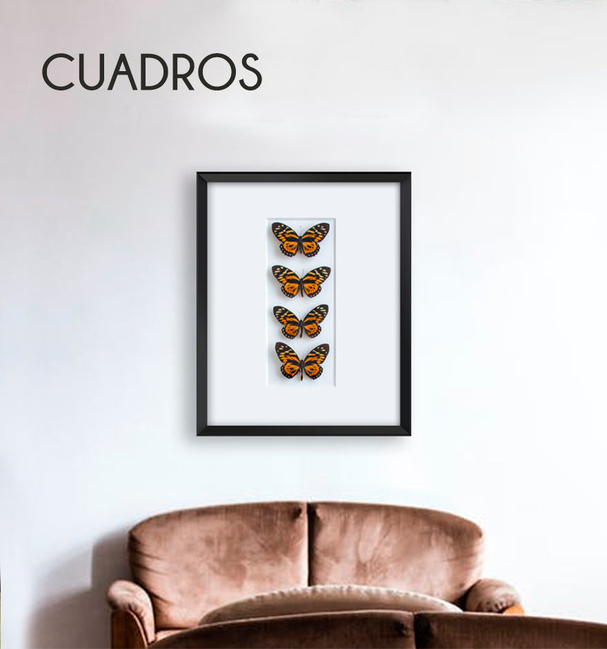 CUADROS