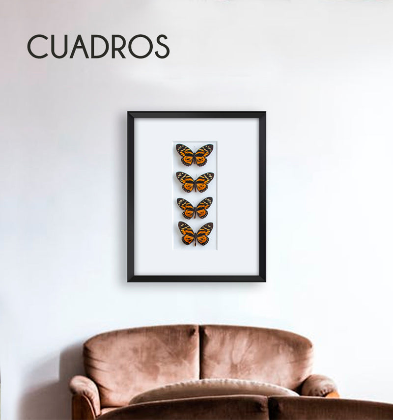 CUADROS