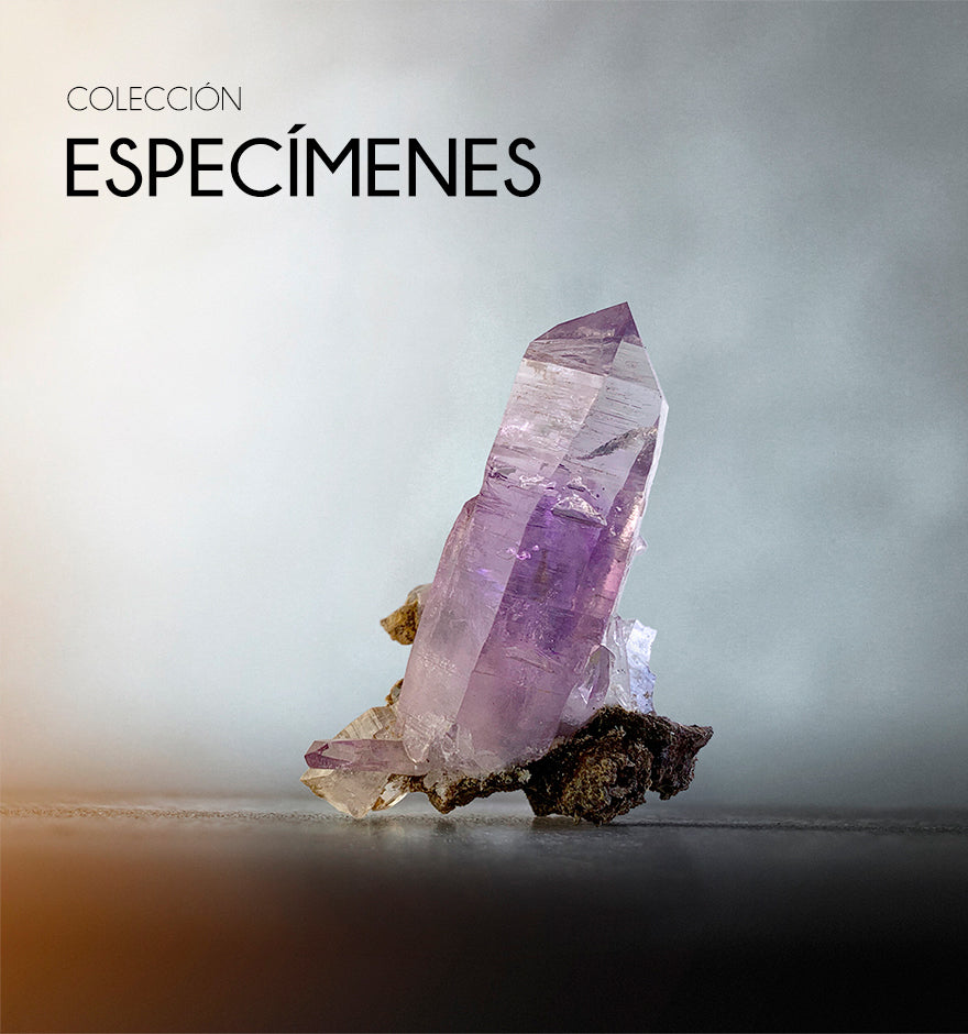 ESPECÍMENES
