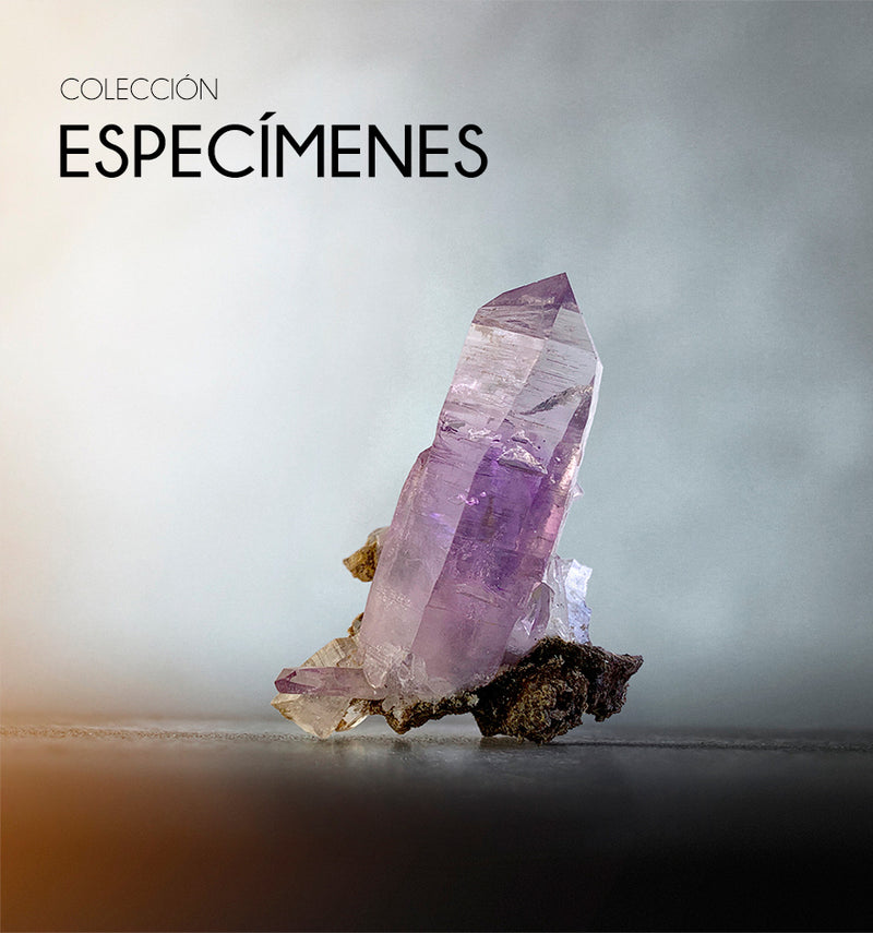 ESPECÍMENES