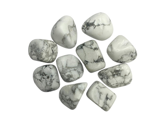 PAQUETE DE 10 PIEZAS DE TAMBORILEADO HOWLITA BLANCA